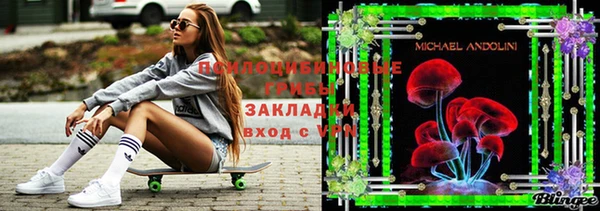бошки Армянск