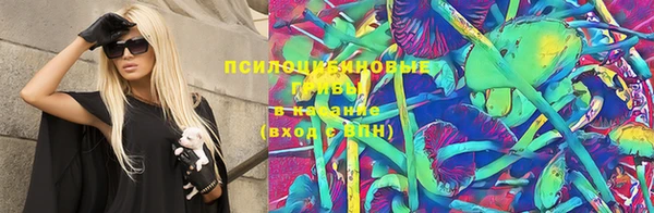 бошки Армянск