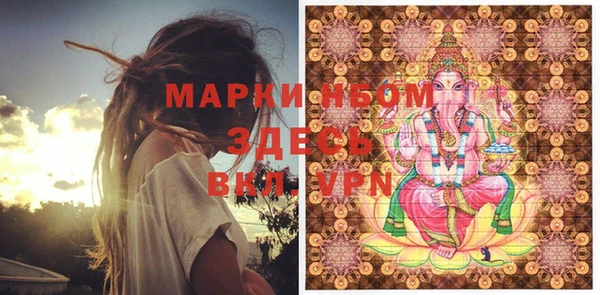 PSILOCYBIN Аркадак